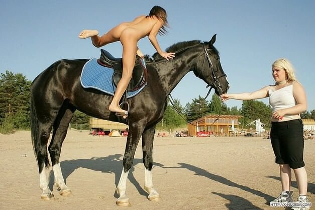[OnnDL] Ride on horseback