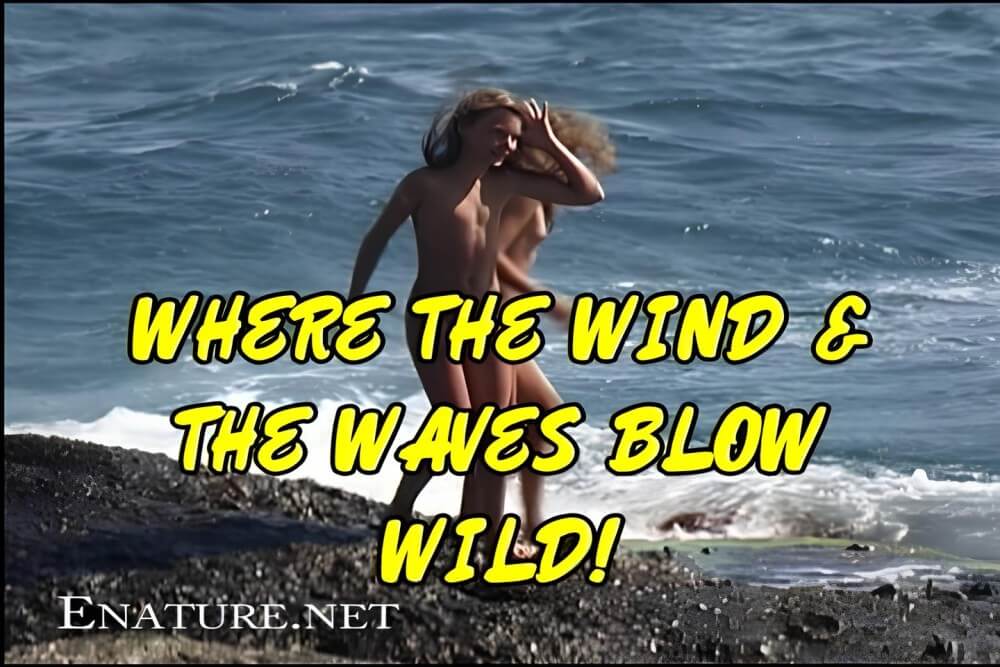 [OnnDL] Enature - Where the Wind and the Waves Blow Wild!