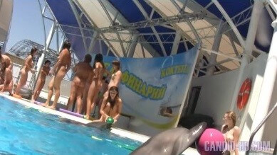 [OnnDL] Amazing Dolphin Encounter HD video